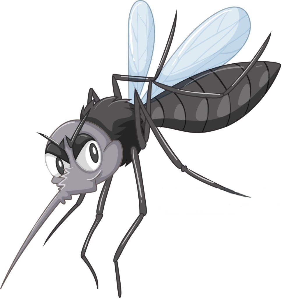 Wild mosquito in black color illustration